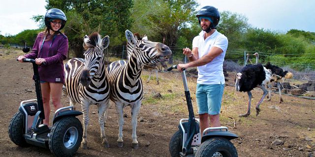 Segway Lessons